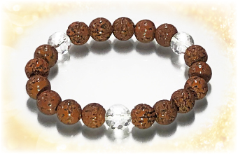 ���h���N�V���u���X���b�gSA��������