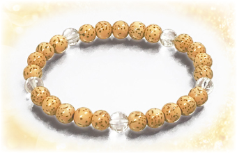 ���h���N�V���u���X���b�gSA��������